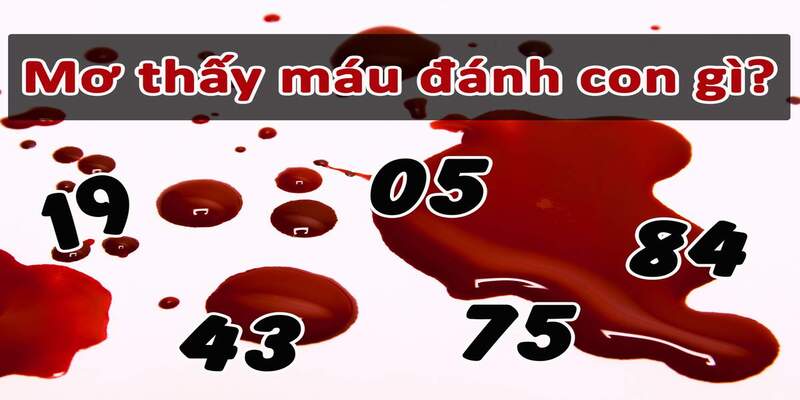 nam-mo-thay-mau-danh-so-gi-diem-bao-hay-giac-mo-thuong-17